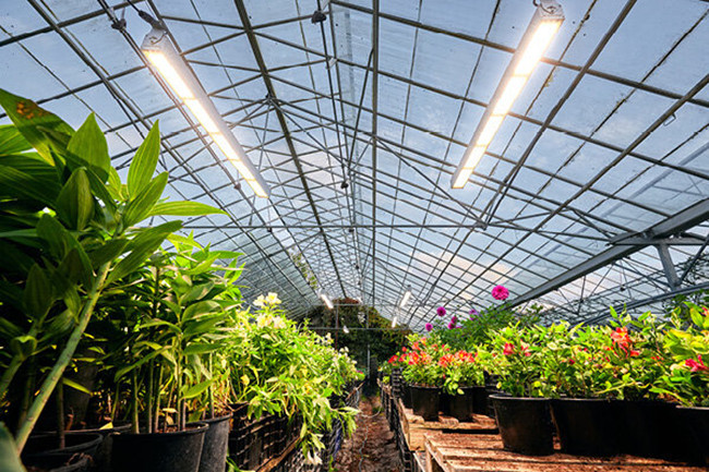 T5&nbsp;plants&nbsp;lamp