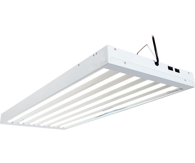 T5 grow light Buy T5 propagation lights T58 bulbs grow lighJIACHENG