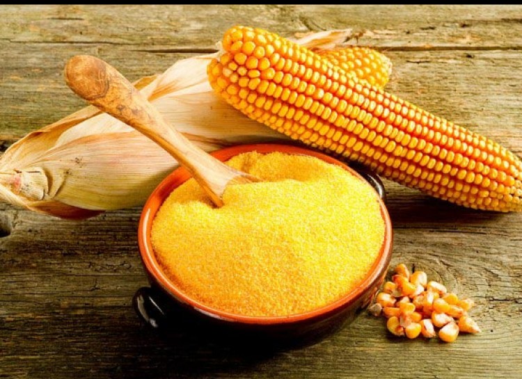 Corn Gluten feed