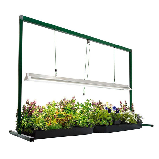 greenhouse&nbsp;light