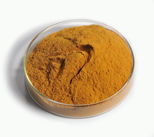 Corn Gluten meal