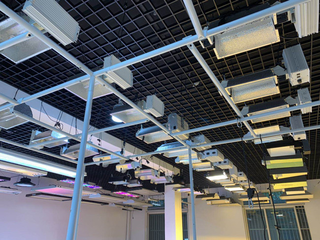 horticulture&nbsp;light