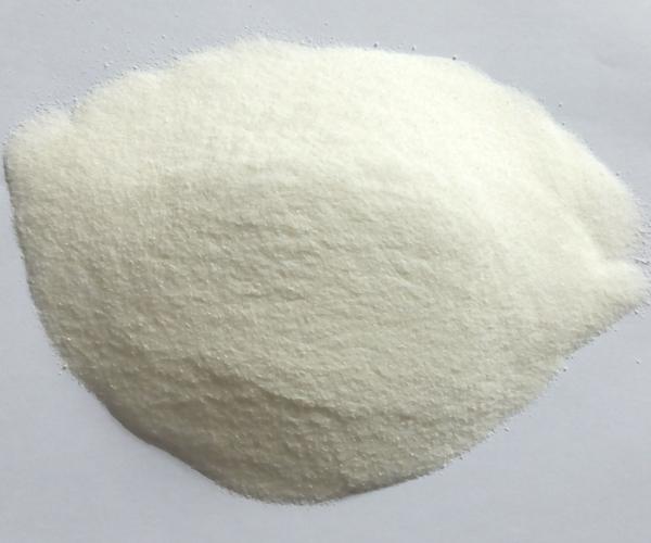 The price of China Sodium Metabisulfite rose in March
